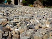 pebbles to church